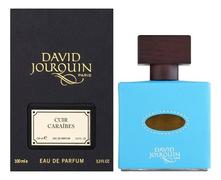 David Jourquin Cuir Caraibes парфюмерная вода 100мл