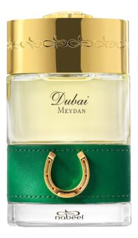 The Spirit of Dubai Meydan парфюмерная вода — изображение 2