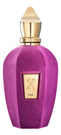 Xerjoff Muse парфюмерная вода — изображение 2