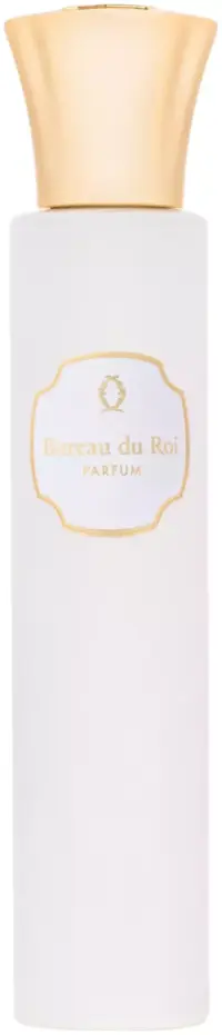 Dorin Bureau Du Roi духи 60мл — изображение 2
