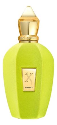 Xerjoff Amabile парфюмерная вода — изображение 2